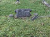 image of grave number 266007